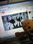 2009-09-08_ブギーナイトフィーバー.jpg
