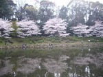 20090405_̐X.JPG